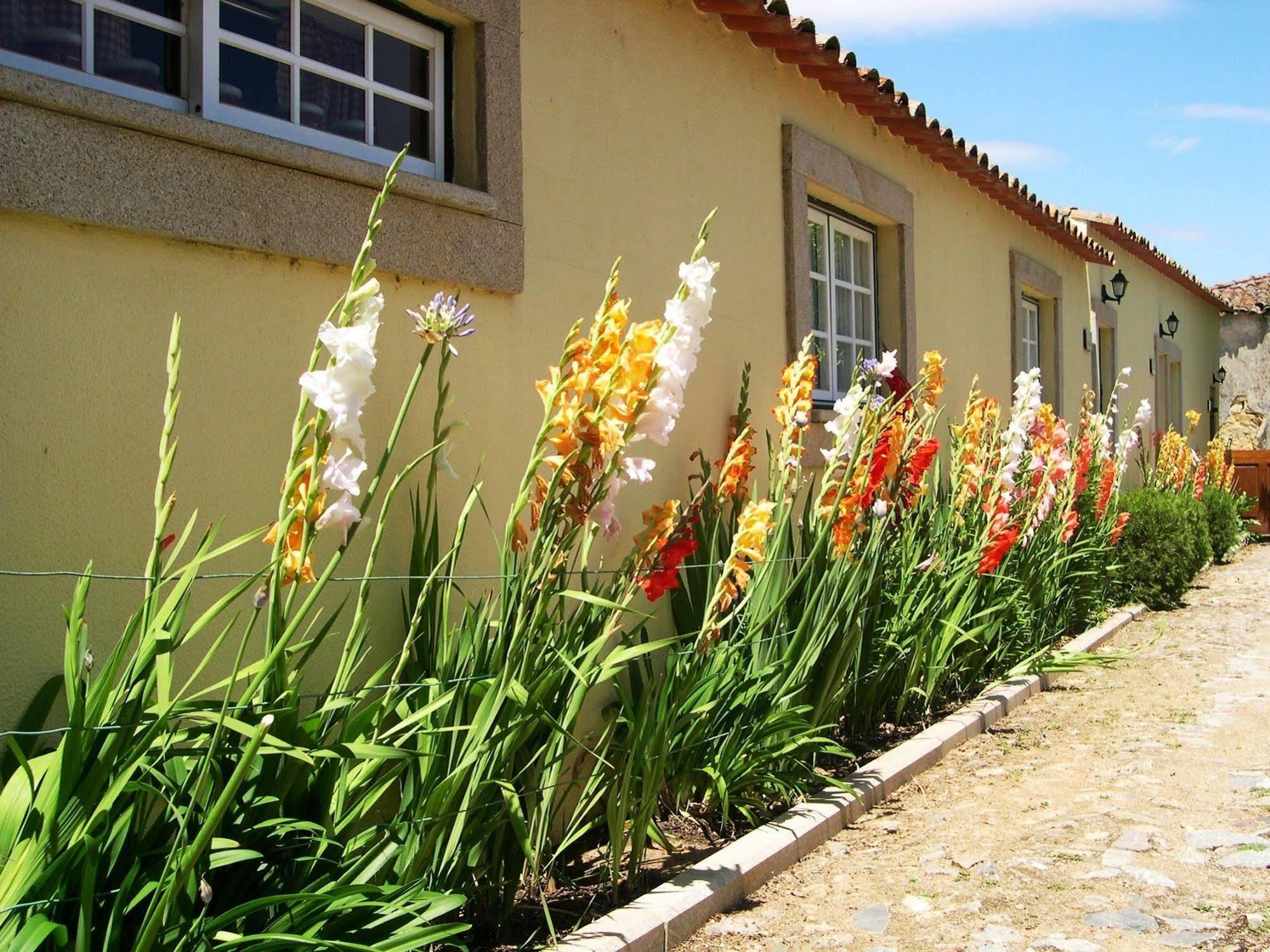 Hospedaria Do Convento D'Aguiar- Turismo De Habitacao Hotel Figueira de Castelo Rodrigo Exterior foto